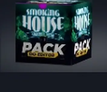 Capa do pack Flyers
