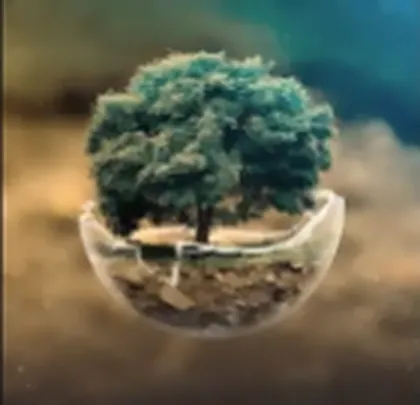 Capa do pack Nature Ambient